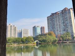 -四海公园(南山区)