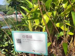-珠海圆明新园