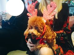 -CIAO·团建聚餐·生日派对轰趴馆(福田店)