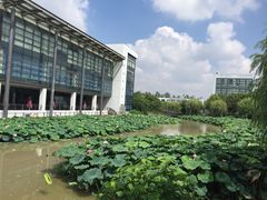 -复旦大学(张江校区)