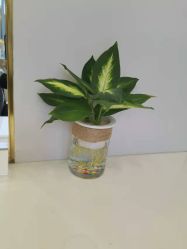 -YESIDO椰岛造型烫发染发