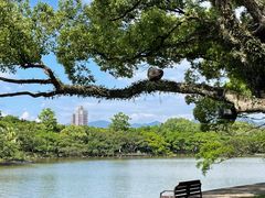 -江心屿景区
