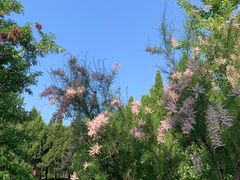 -北坞公园