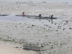 -北海金海湾红树林生态旅游区