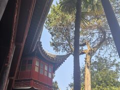 -东山雕花楼