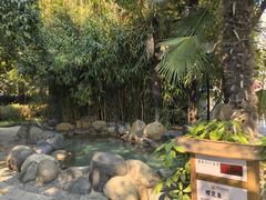 -张家港金凤凰度假村温泉