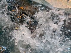 -太湖龙之梦