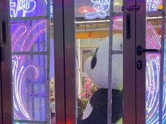 -喜鹊音乐酒馆(西街店)