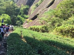 -武夷山风景名胜区-玉女峰