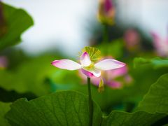 -前关湿地公园