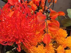 -百富源·海鲜辽菜(和平北大街店)