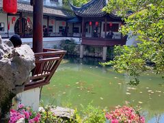 -上海醉白池公园
