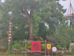 -杭州宋城