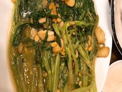 蒜泥空心菜-潮中人·潮州菜(益乐路店)