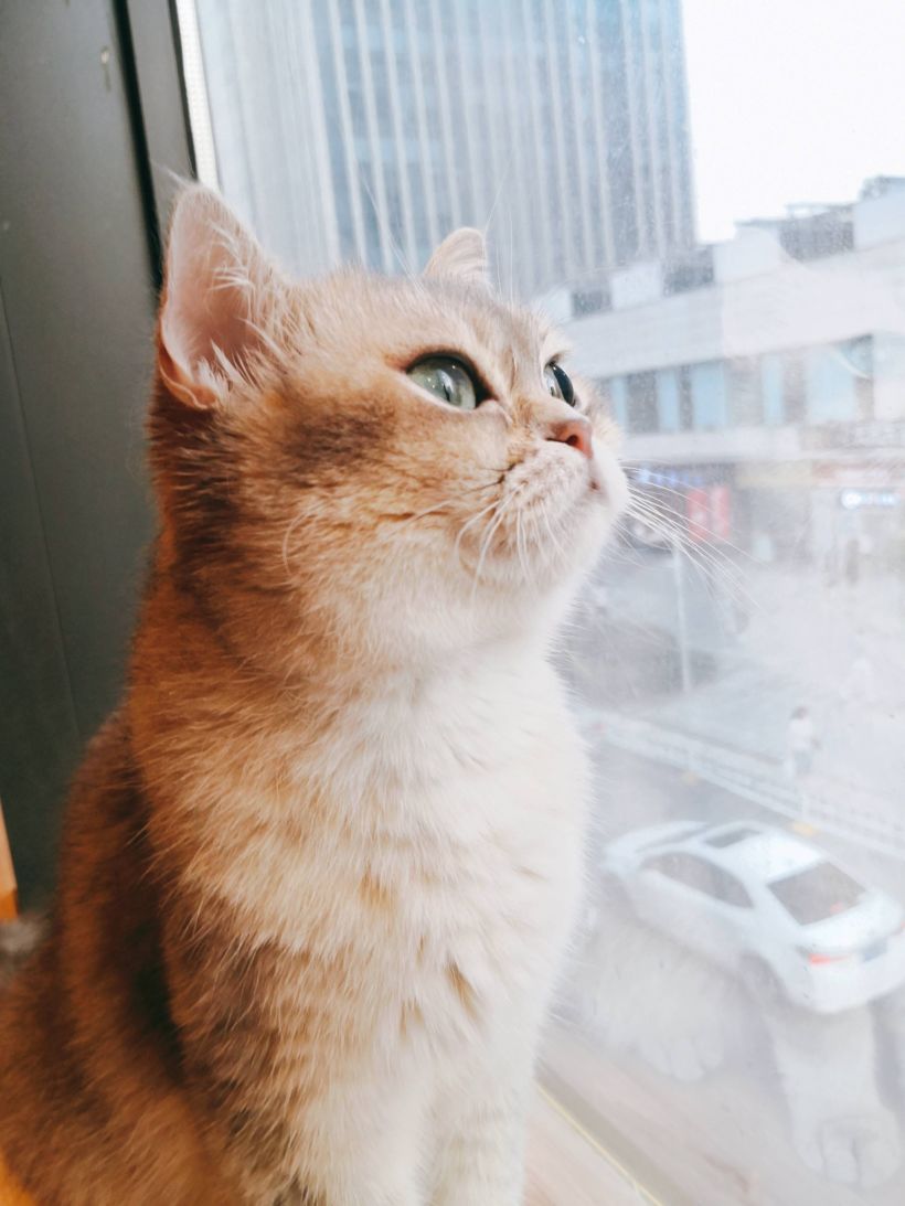 抬头45度的忧伤.