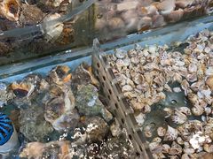 -盒马鲜生(顺义店)