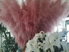 -春暖花开(西溪店)