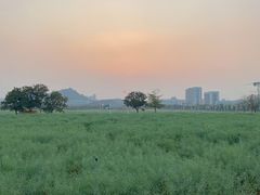 -光明小镇欢乐田园