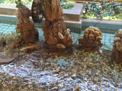 -良友·海鲜青岛菜(五四广场店)