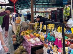 -西双版纳傣族园