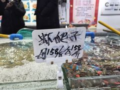 -小海丁