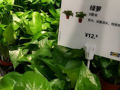 -IKEA宜家家居(南京商场)