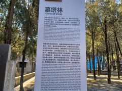 -四门塔风景区