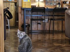 -隅cafe(傅厚岗店)