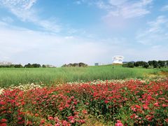 -光明小镇欢乐田园