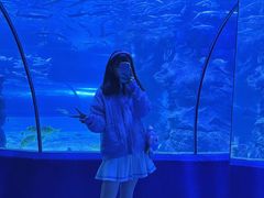 -左海海底世界