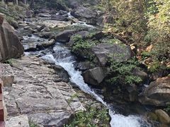 -广州白江湖森林公园