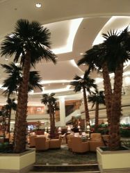 -上海万豪虹桥大酒店·宴会厅