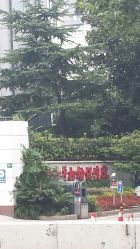-中国福利会国际和平妇幼保健院(徐汇院区)