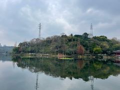 -重庆彩云湖湿地公园