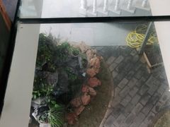-缘福乡村铁锅炖民宿(八达岭店)