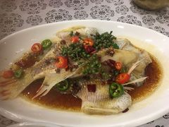 椒麻蒸鲷鱼-客家汇·客家传承菜(水库店)