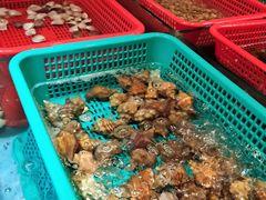 -金碧轩粤菜海鲜大酒楼