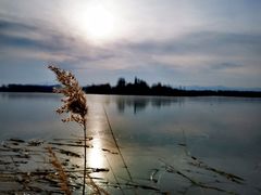 -野鸭湖国家湿地公园