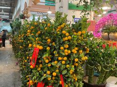 -双季花艺园艺市场(浦东店)