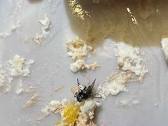 -红宝石·鲜奶小方·海派西点房(南丹店)