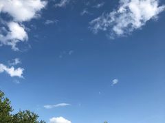 -蒙古大营(朝阳公园店)