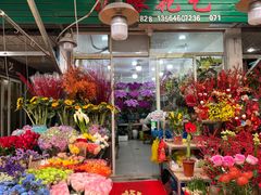 -曲阳花鸟市场(曲阳路店)