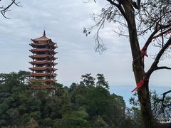 -缙云山景区