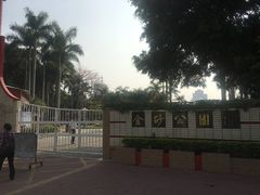 -金砂公园