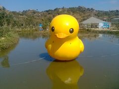 android_upload_pic-丹樱生态园