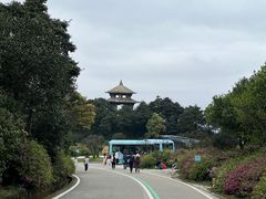 -梧桐山风景名胜区