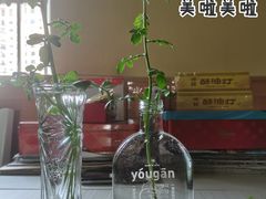 -混果汁(喜荟城店)
