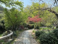 -雨花胜境