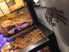 -蟹道乐(網元別館店)