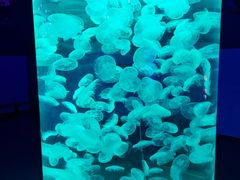-福州罗源湾海洋世界旅游区